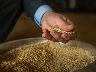 中華人民共和(hé)國種子(zǐ)法 中華人民共(gòng)和國種子法