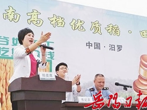 全國首次稻穀田間競拍汨羅落(luò)槌 全國首次稻(dào)穀田間競(jìng)拍(pāi)汨羅落槌