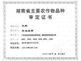 粵油絲苗審定證書