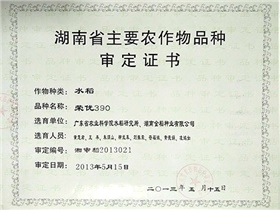 湖南省主要農作（zuò）物品種審定證書