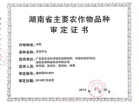 五優華占審（shěn）定證書