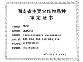 五優613審定證書正本