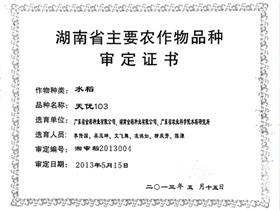 天優103審定證書