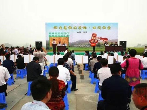 【頭條】汨羅四千畝優質稻未收割先拍賣(mài) 最高成交價格高於市場價40% 【頭條(tiáo)】汨羅(luó)四千畝優質稻未收割先拍賣 最高成交價格高於市場價40%